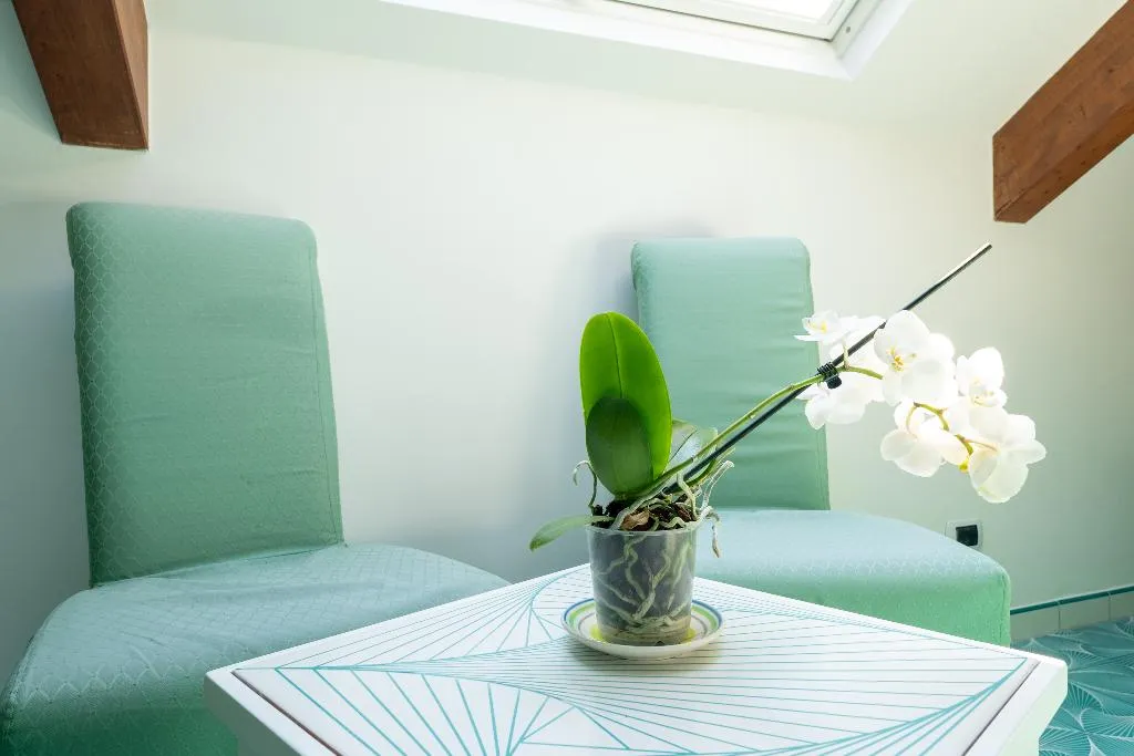 JUNIOR SUITE STANDARD Room, Hotel Villa Annalara, Naples