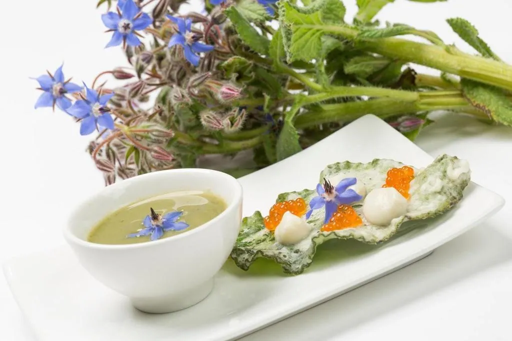 Restaurant, Hotel Del Teatre - Adults Only, Costa Brava
