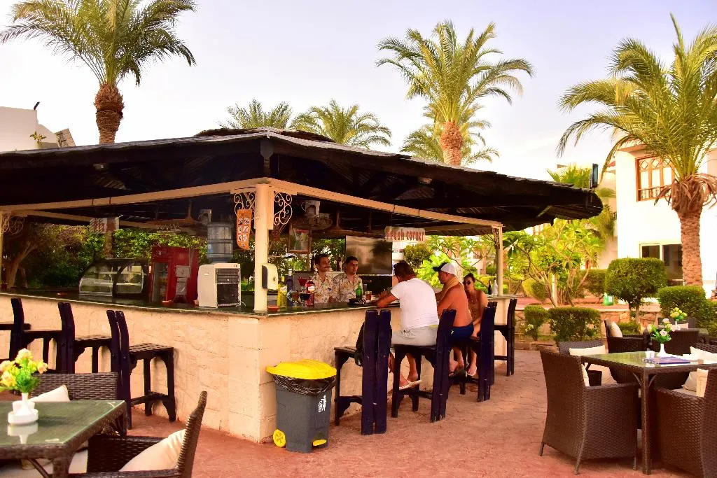 Bar, Dive Inn Resort, Red Sea Riviera