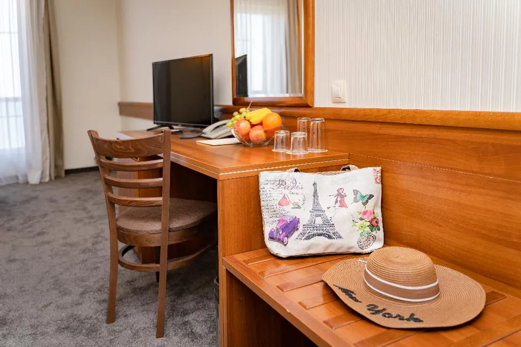 DOUBLE SINGLE USE CITY VIEW Room, Panorama Hotel, Varna