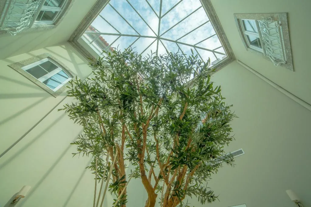 Lobby, Do Parque, Porto