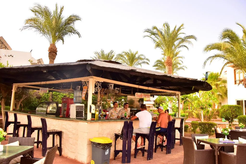Bar, Dive Inn Resort, Red Sea Riviera