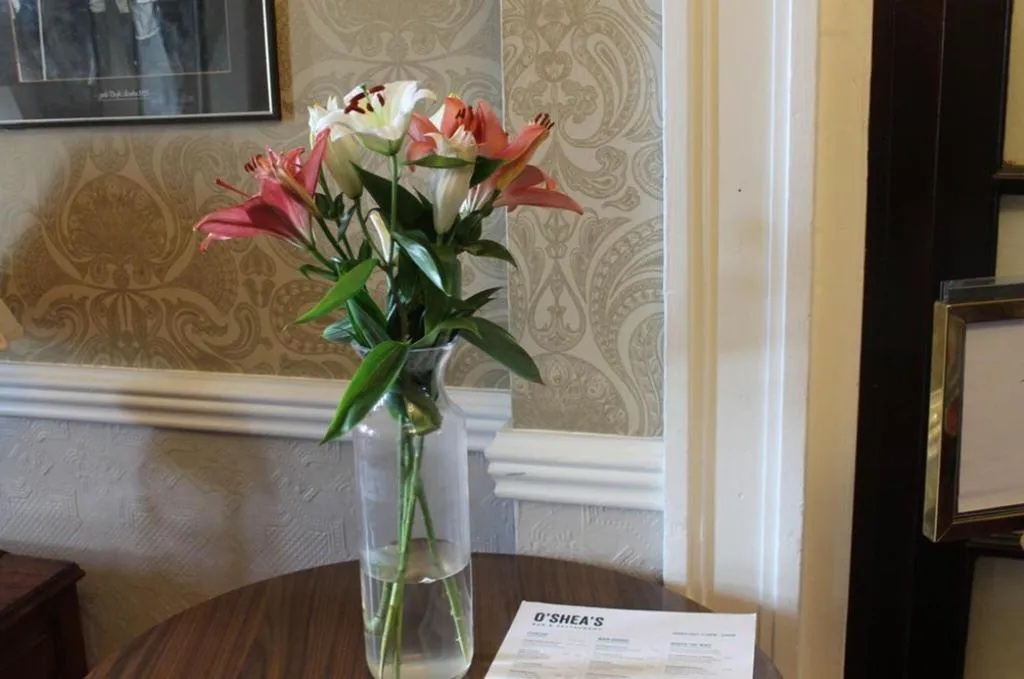 Lobby, Commodore, Cork