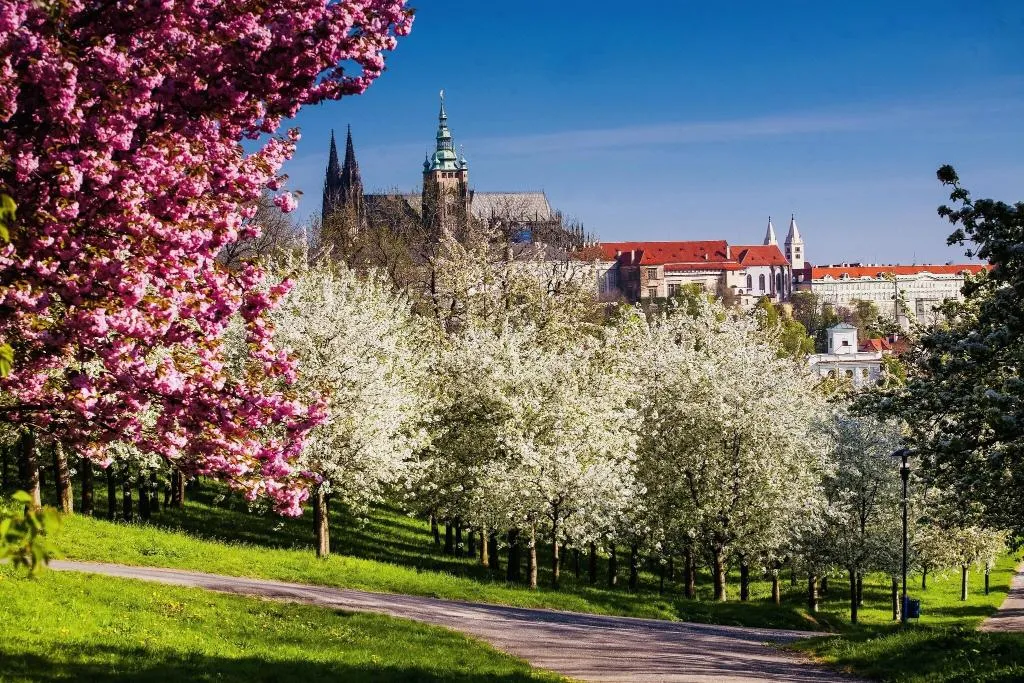 Sports and Entertainment, Hilton Prague Atrium, Prague