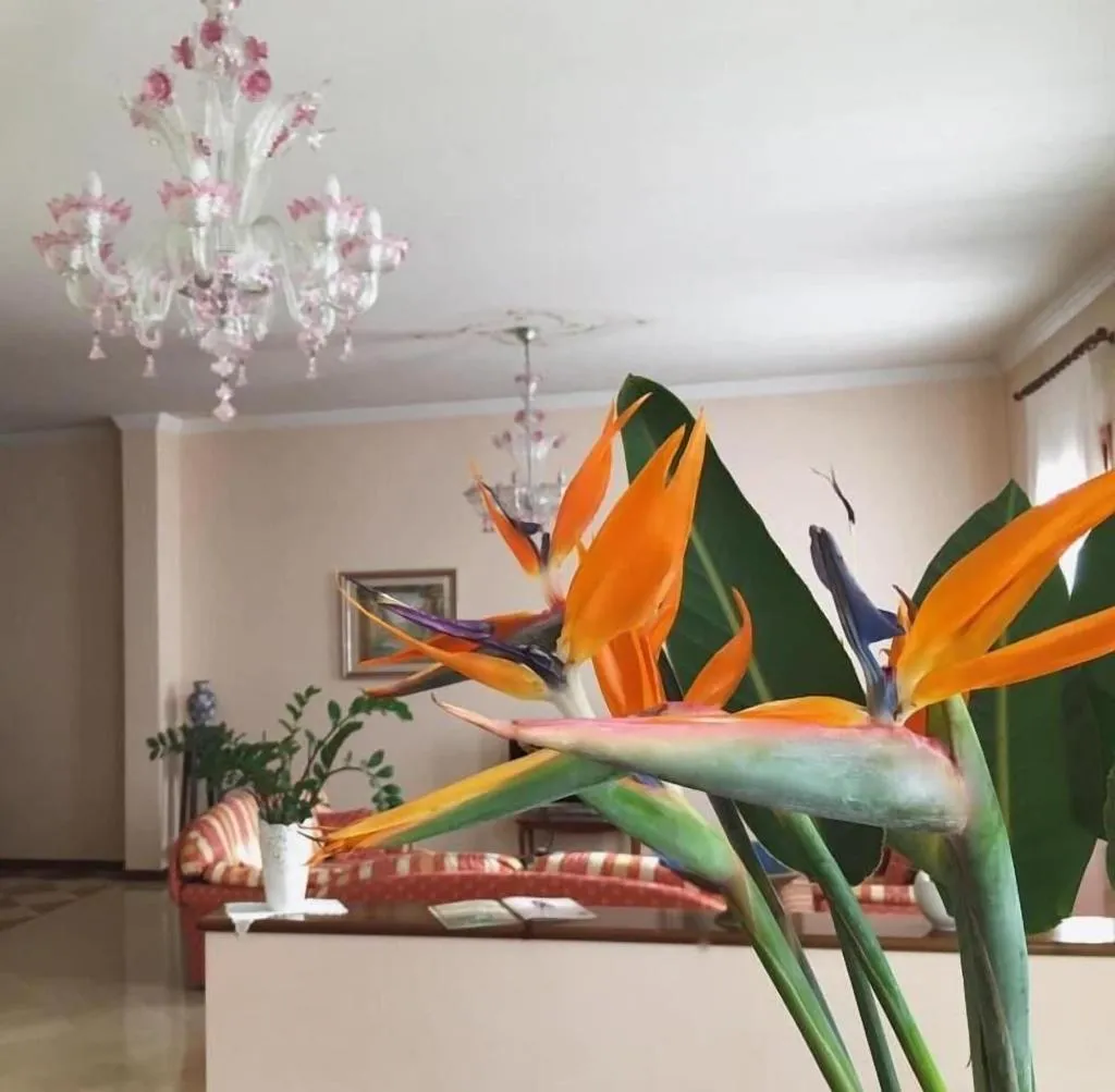 Lobby, Hotel Isola Di Caprera, Venice