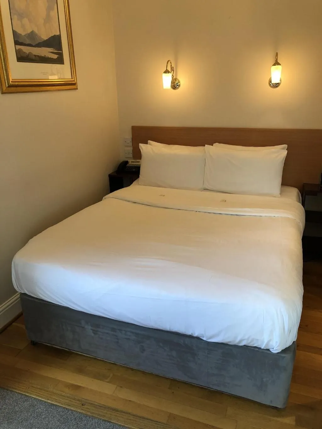Room, Leeson Bridge Guesthouse, Dublin