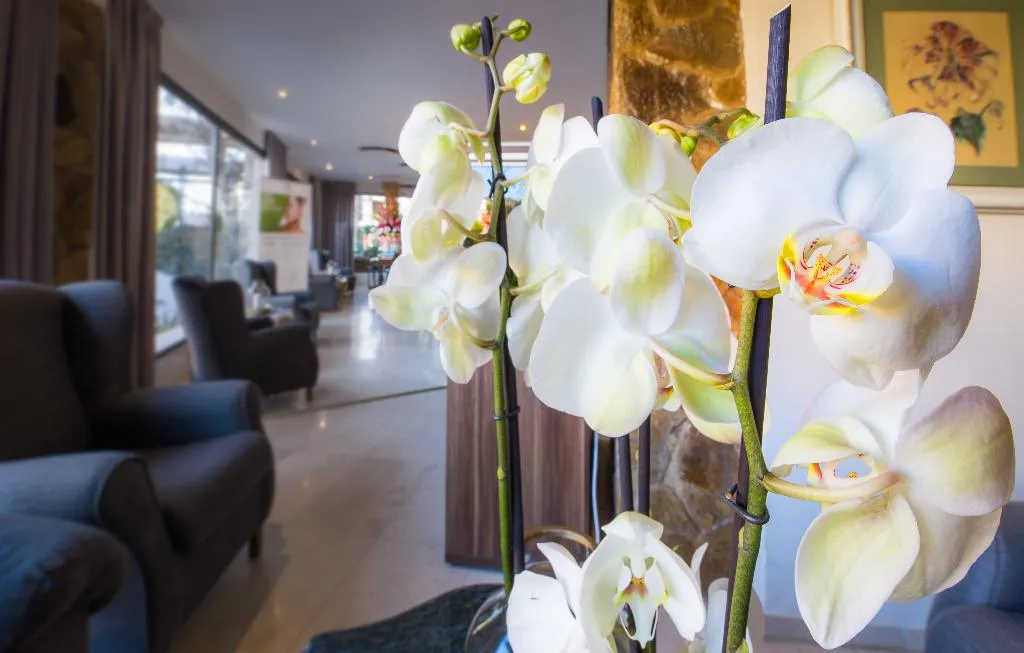 Lobby, Eden Roc Mediterranean Hotel & Spa, Costa Brava