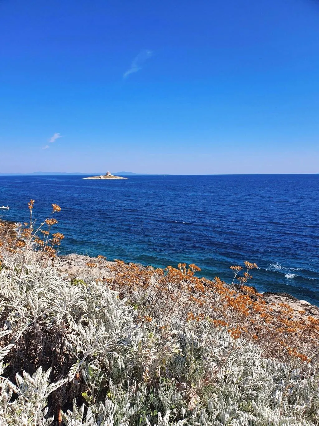 Sports and Entertainment, Violeta Hvar, Split