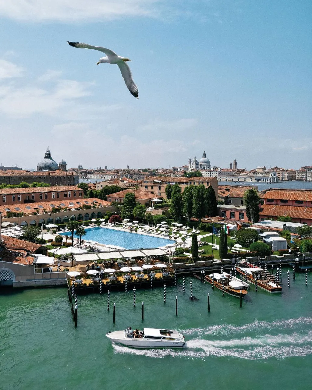 Pool, Hotel Cipriani, A Belmond Hotel, Venice, Venice