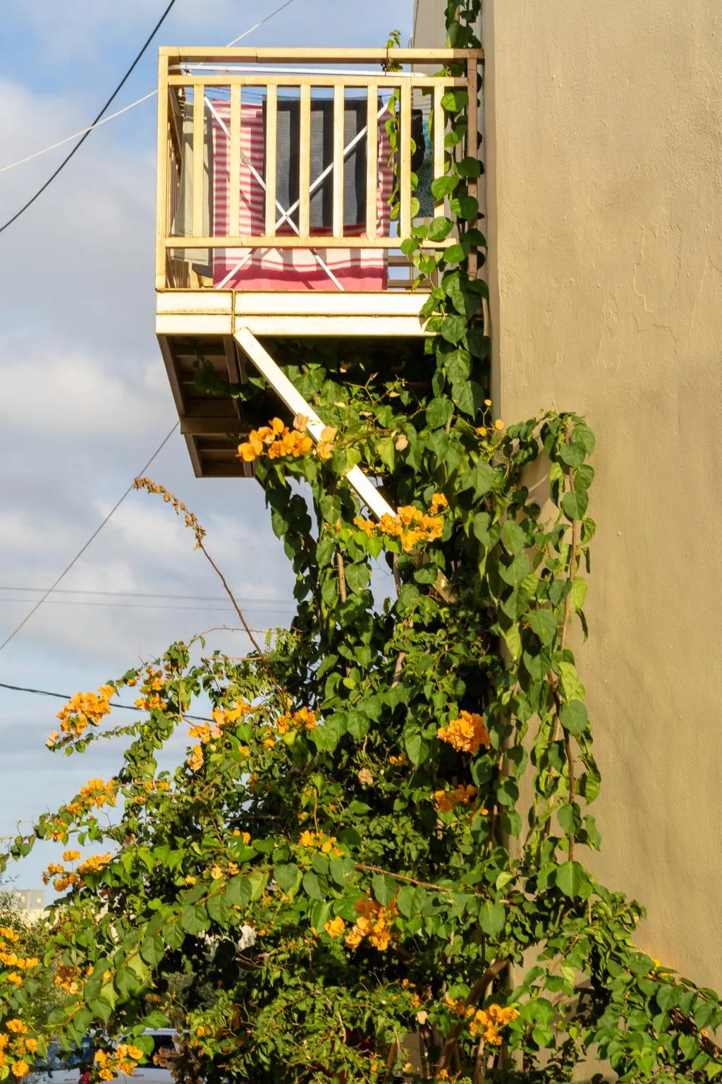 General view, Elpis Studios & Apartments, Crete