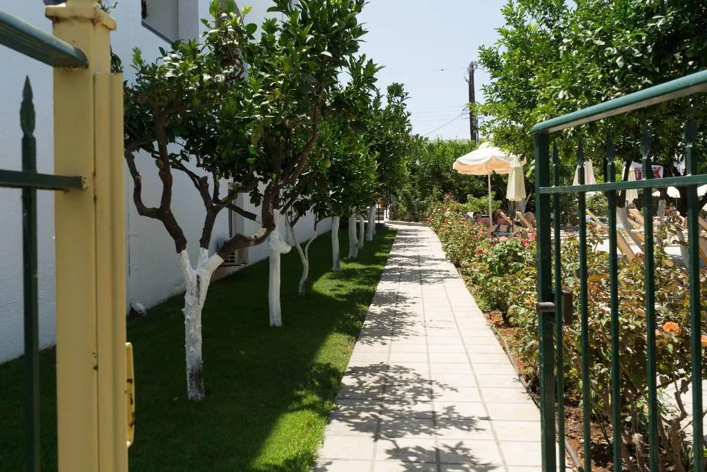 Terrace, Malia Holidays, Crete