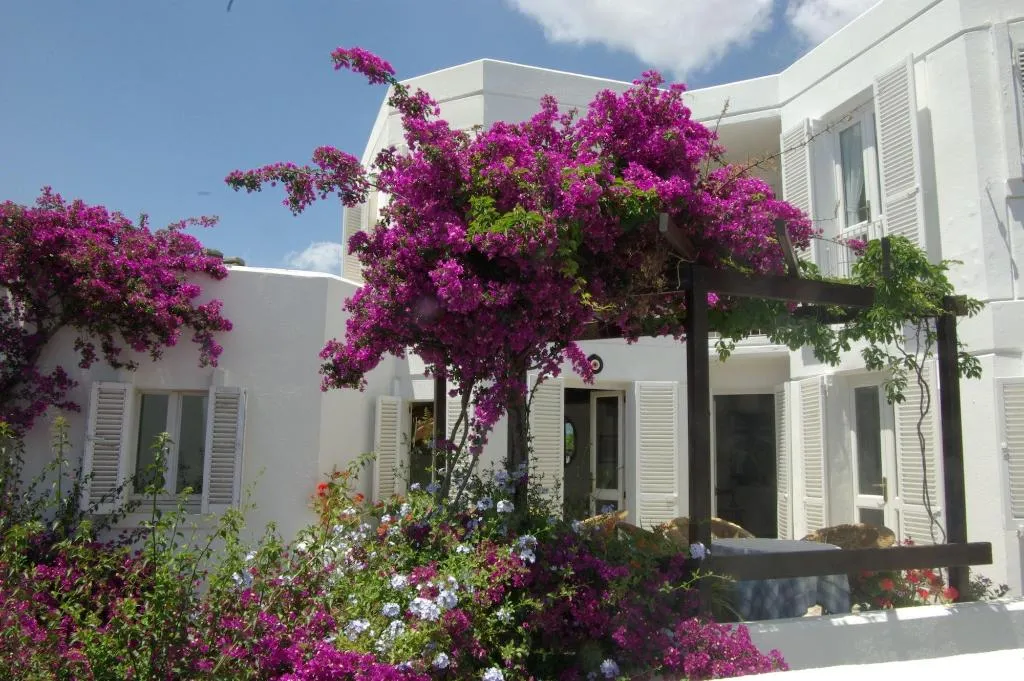 General view, Antique Theatre Hotel, Bodrum