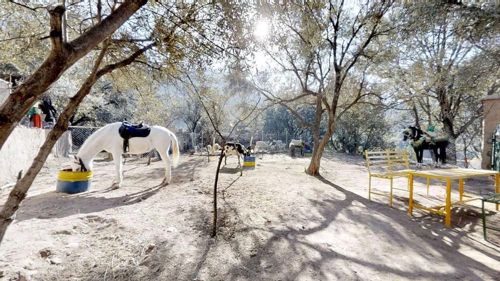 Sports and Entertainment, Ferme By Ikalimo, Marrakech