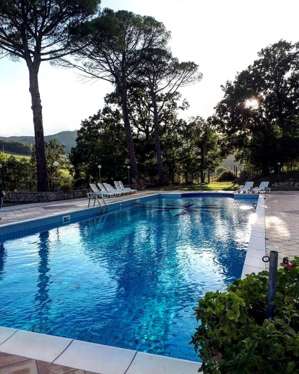 Pool, Villa Raino, Palermo