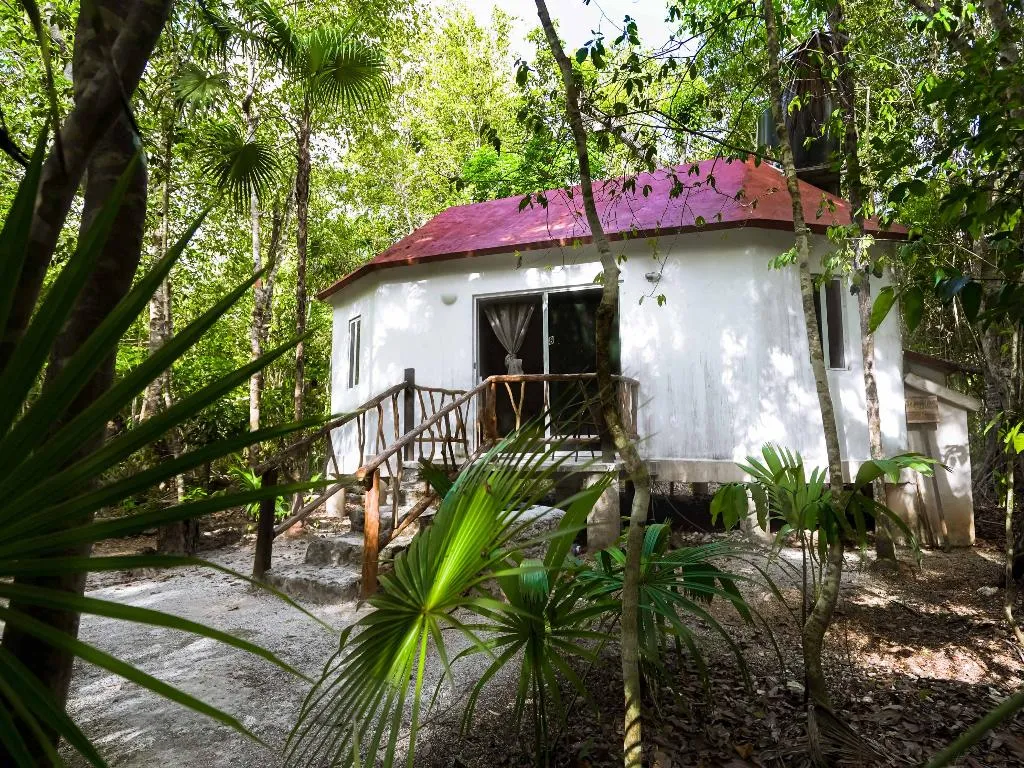 BUNGALOW STANDARD Room, Jolie Jungle, Cancun Area