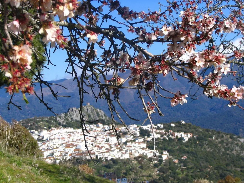 General view, La Fructuosa, Andalucia