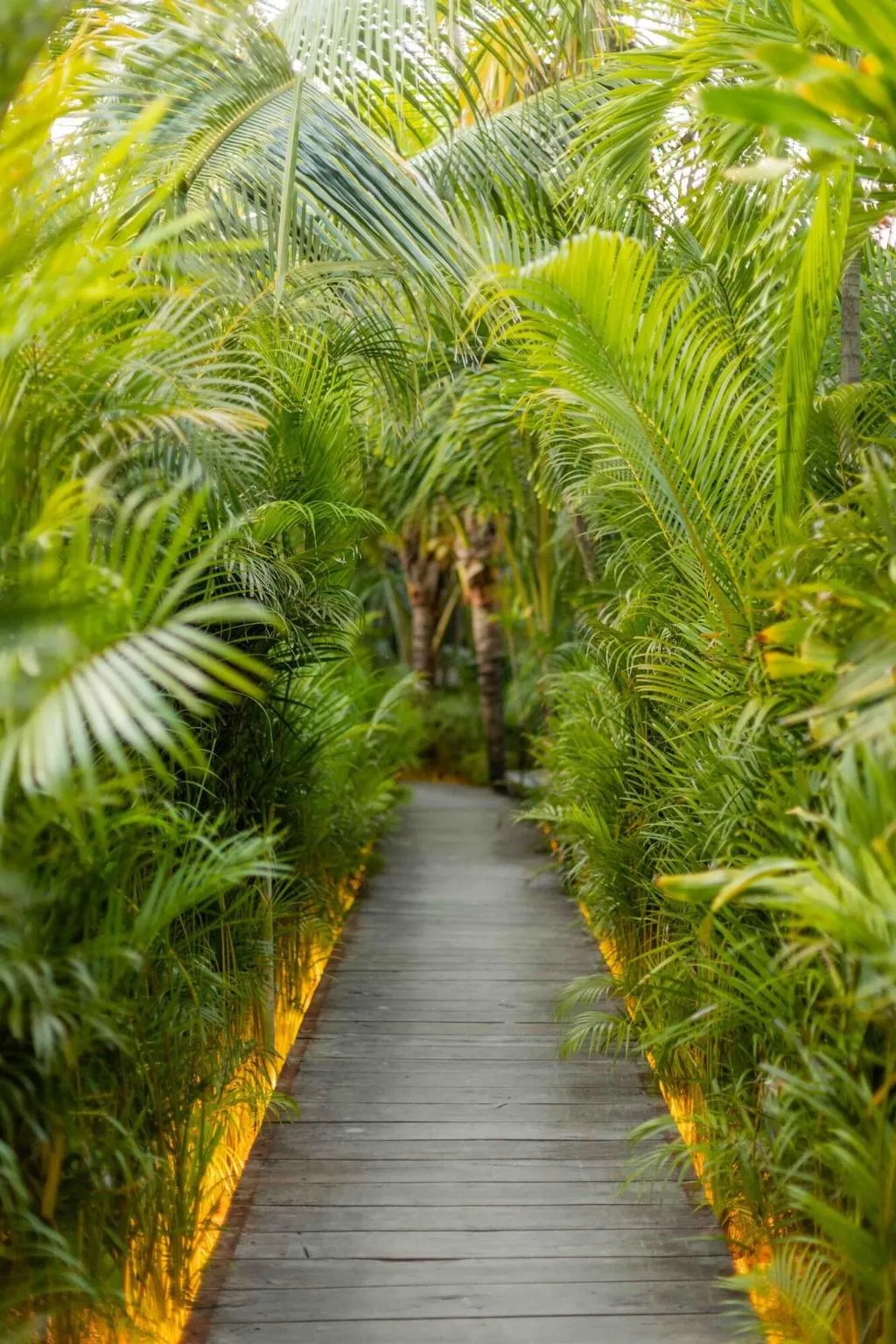 General view, The Radhoo Adults Only, Cancun Area