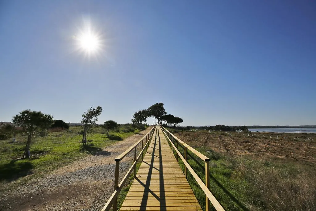 Sports and Entertainment, Lloyds Beach Club, Costa Blanca