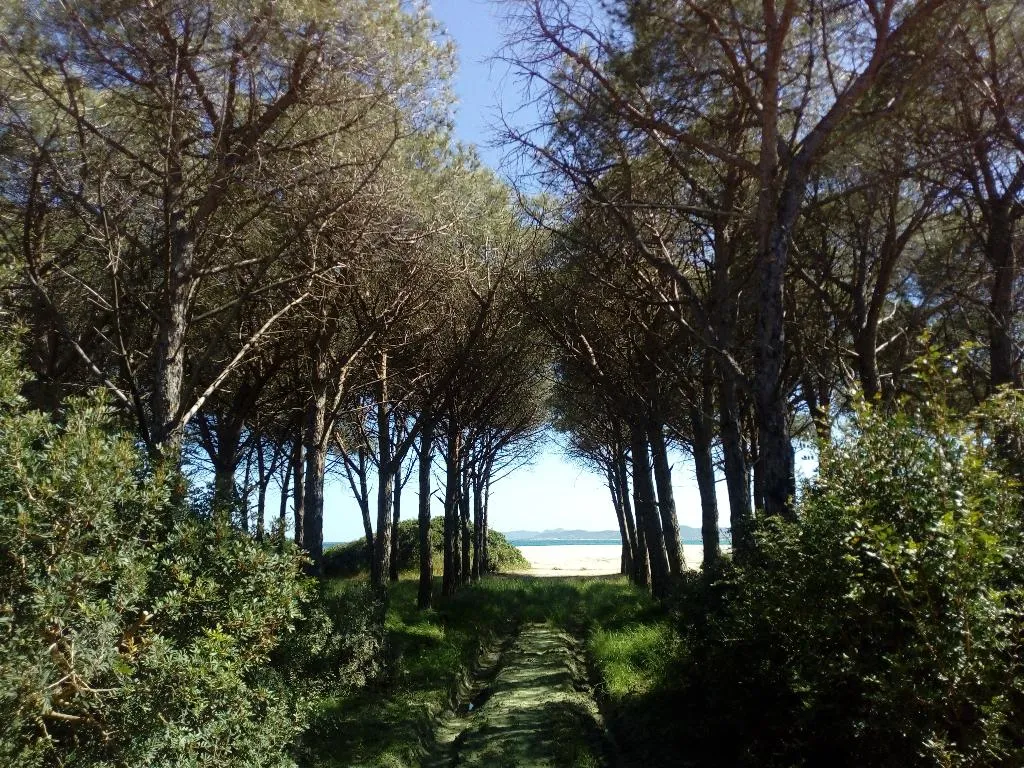 Beach, Hotel Velasole, Olbia