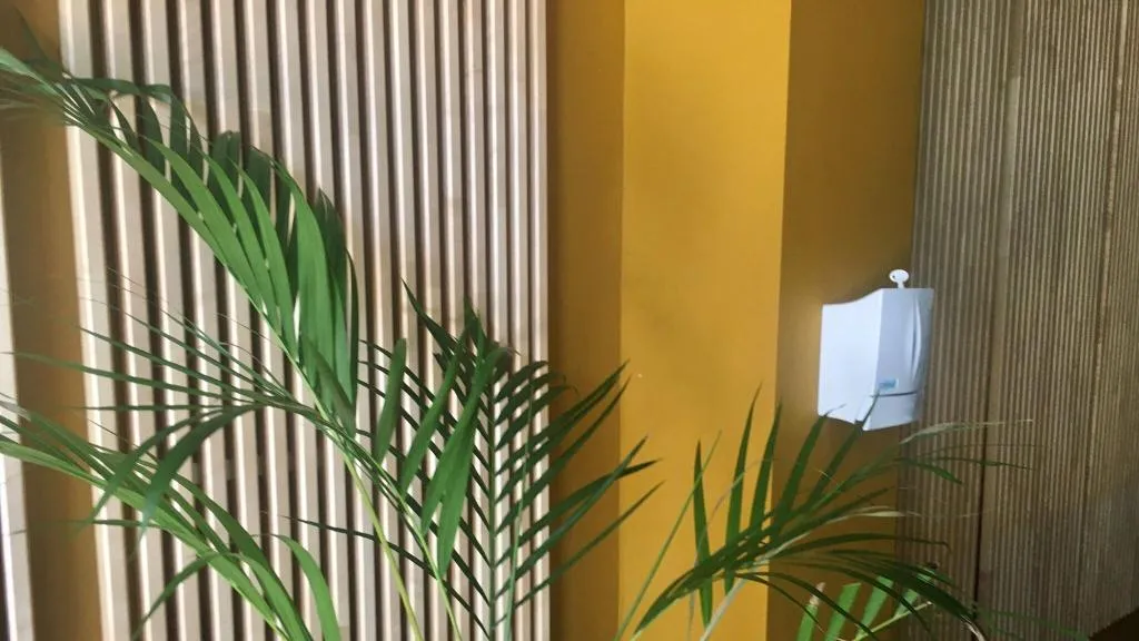 Lobby, B&B Mare de Deu Jardines del Turia, Valencia