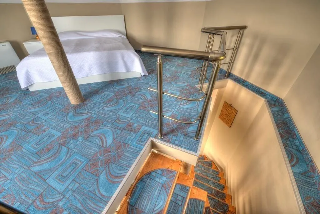 Room, Alekta, Varna