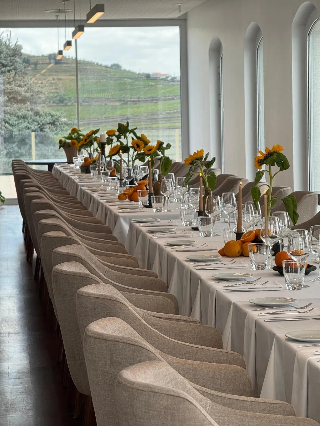 Restaurant, Douro Scala, Porto