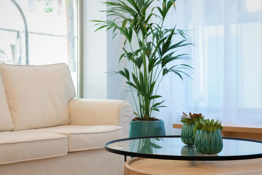 Lobby, Seasun Aniram, Majorca