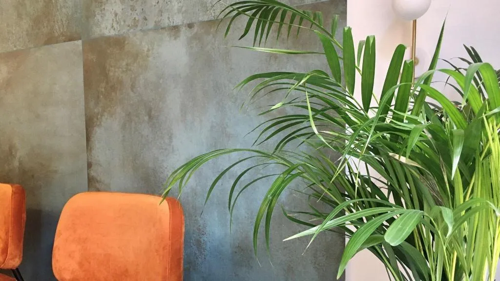 Lobby, B&B Mare de Deu Jardines del Turia, Valencia