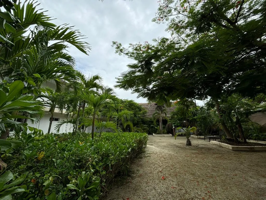 General view, La Diosa Kali Beach Front Hotel, Cancun Area