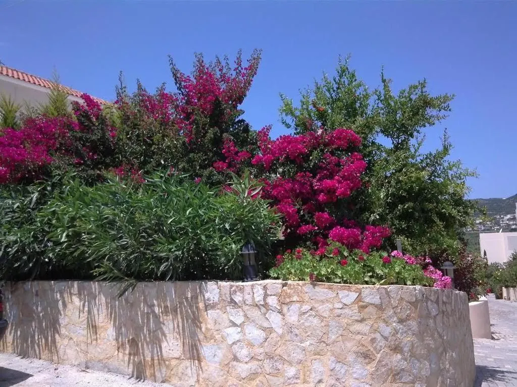 General view, Selini Villas, Crete