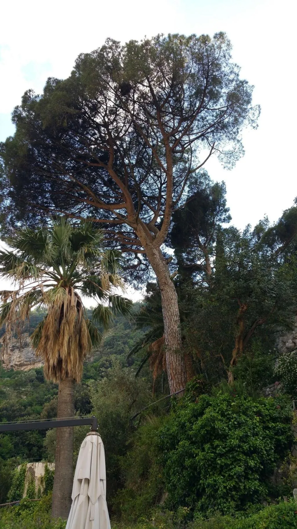 General view, Hotel Villa Annalara, Naples