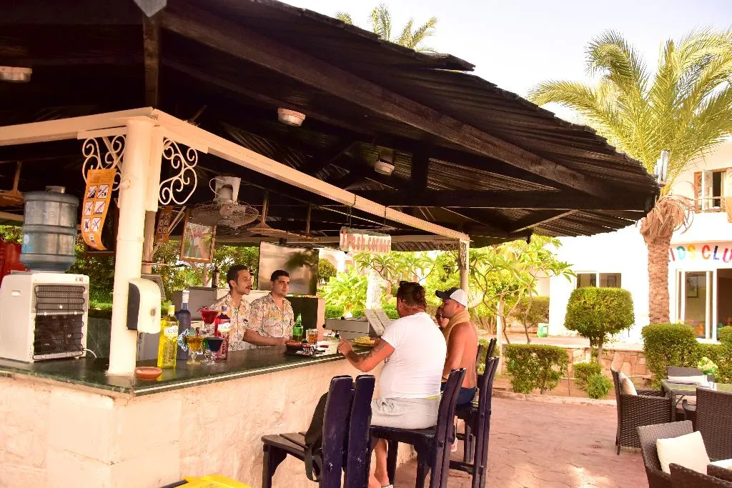Bar, Dive Inn Resort, Red Sea Riviera