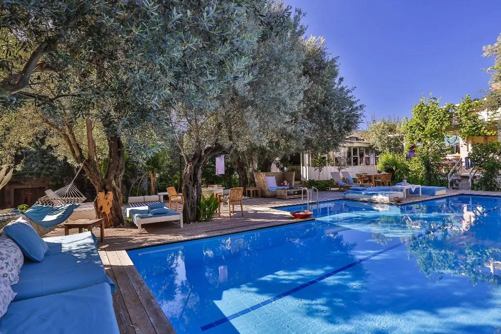 Pool, Oyster Residences, Dalaman