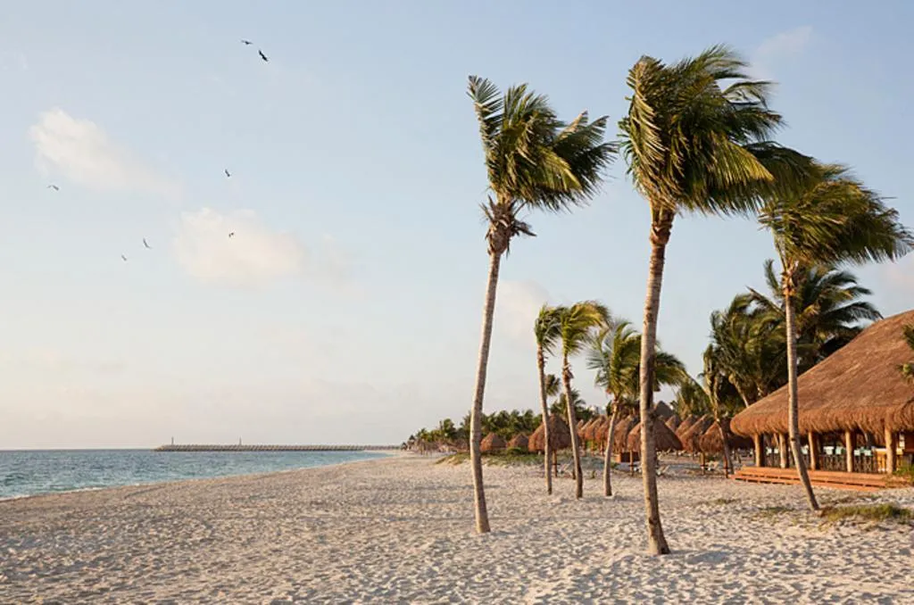 Beach, Finest Playa Mujeres by The Excellence Collection, Cancun Area
