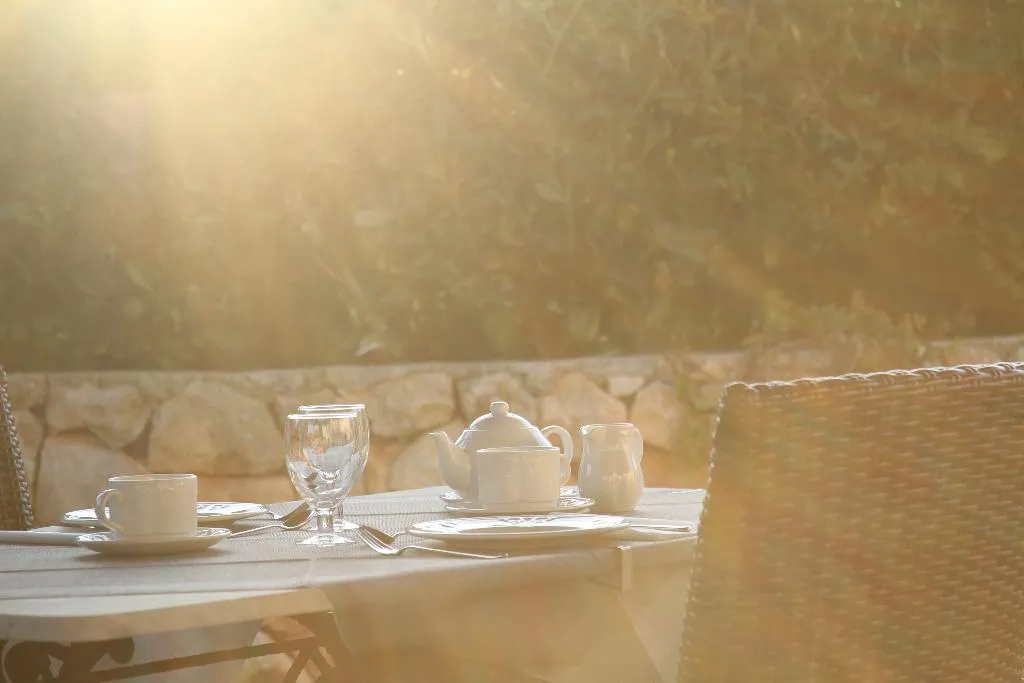 Double or Twin SUPERIOR WITH TERRACE Room, Son Tretze, Menorca