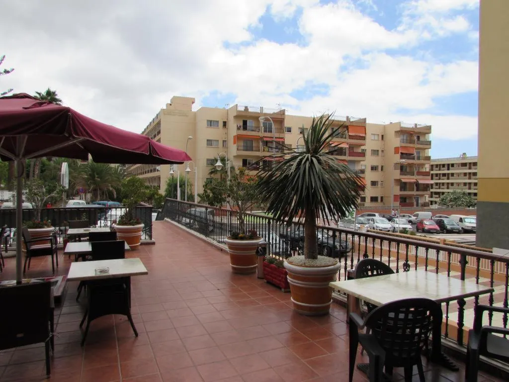 Terrace, Andrea's, Tenerife
