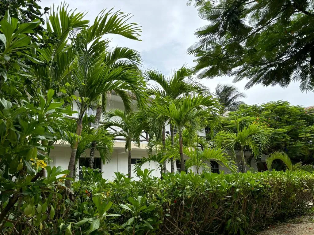 General view, La Diosa Kali Beach Front Hotel, Cancun Area