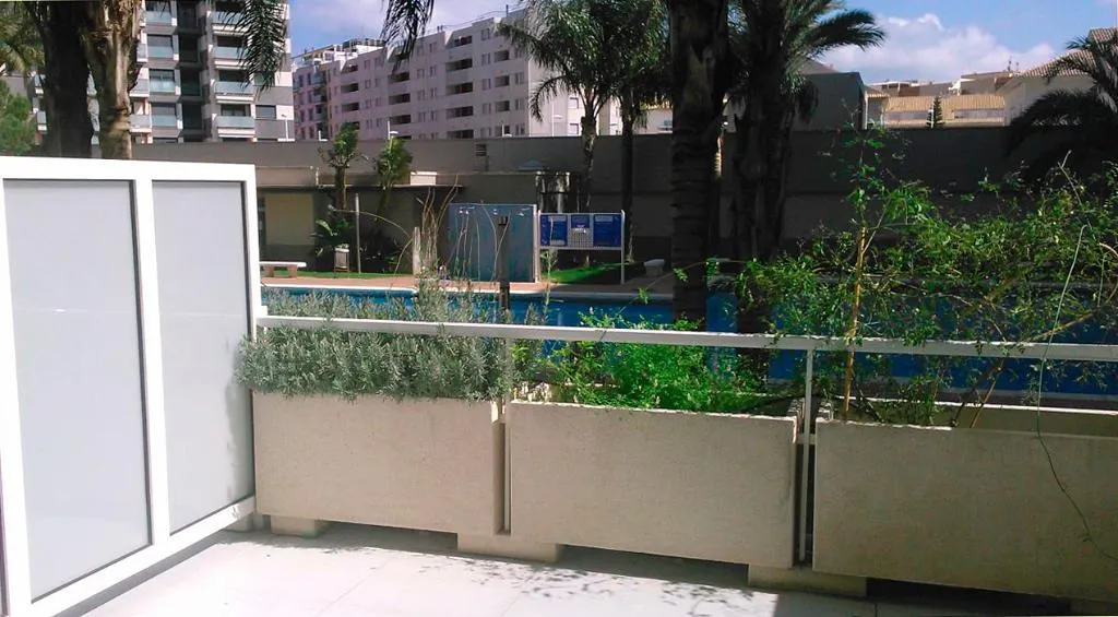 Terrace, Gandia Universidad 3000, Valencia