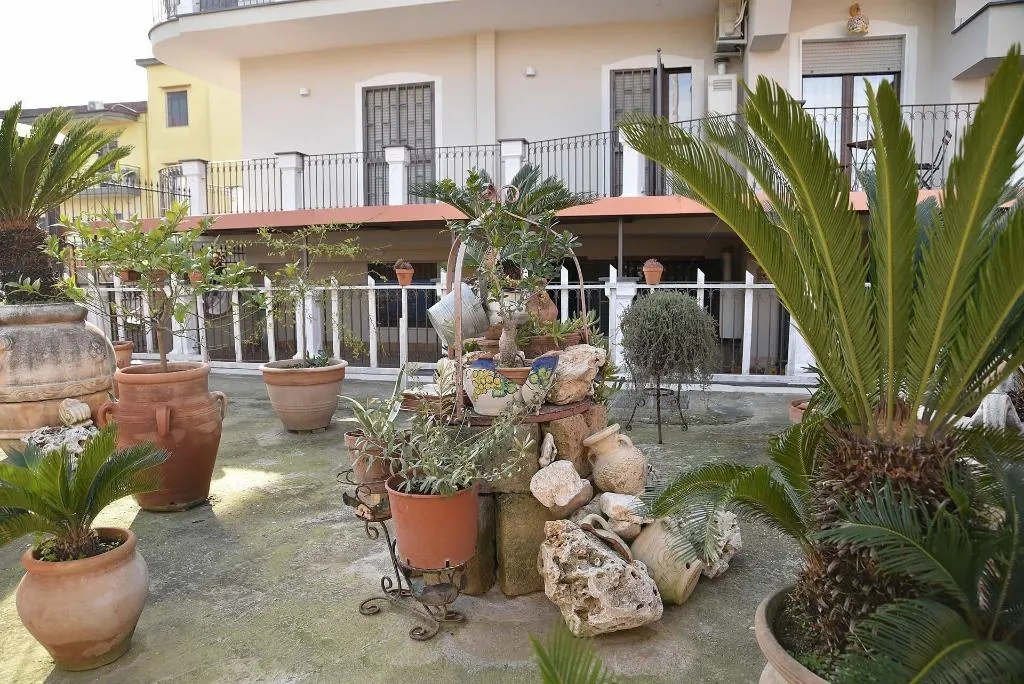 General view, B&B Le Cycas, Naples