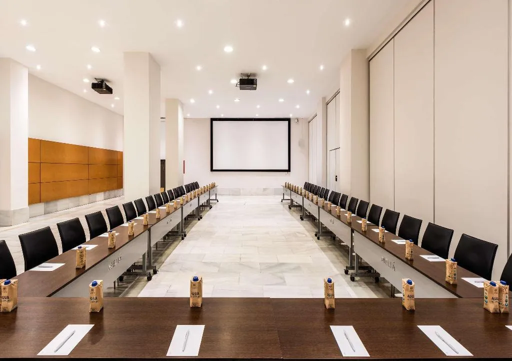 Conferences, Hotel Madrid Chamartín Affiliated by Meliá, Madrid