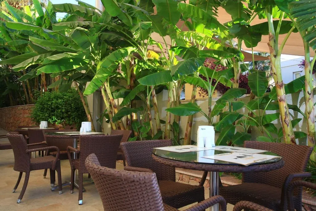Bar, Mandarin Resort Bodrum, Bodrum