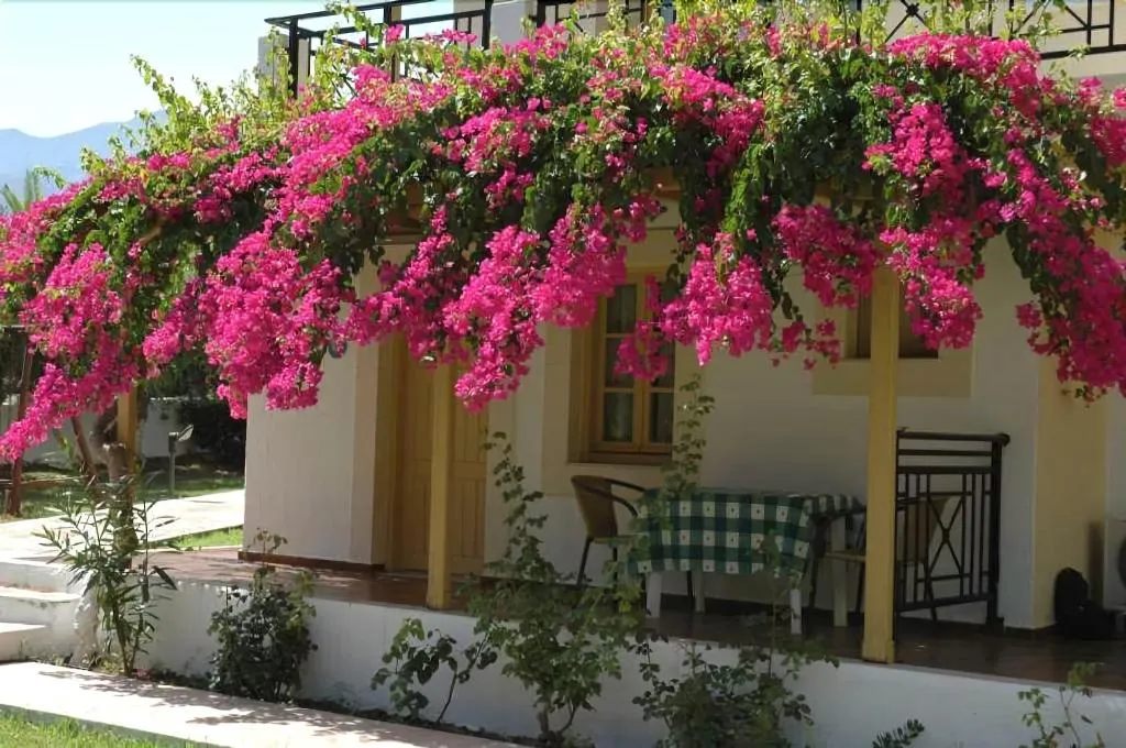 General view, Sergiani Apartments, Crete