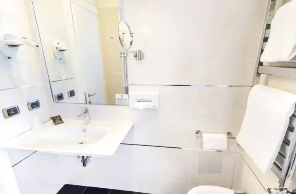 DOUBLE SINGLE USE STANDARD Room, Grand hotel Mediterraneo, Florence