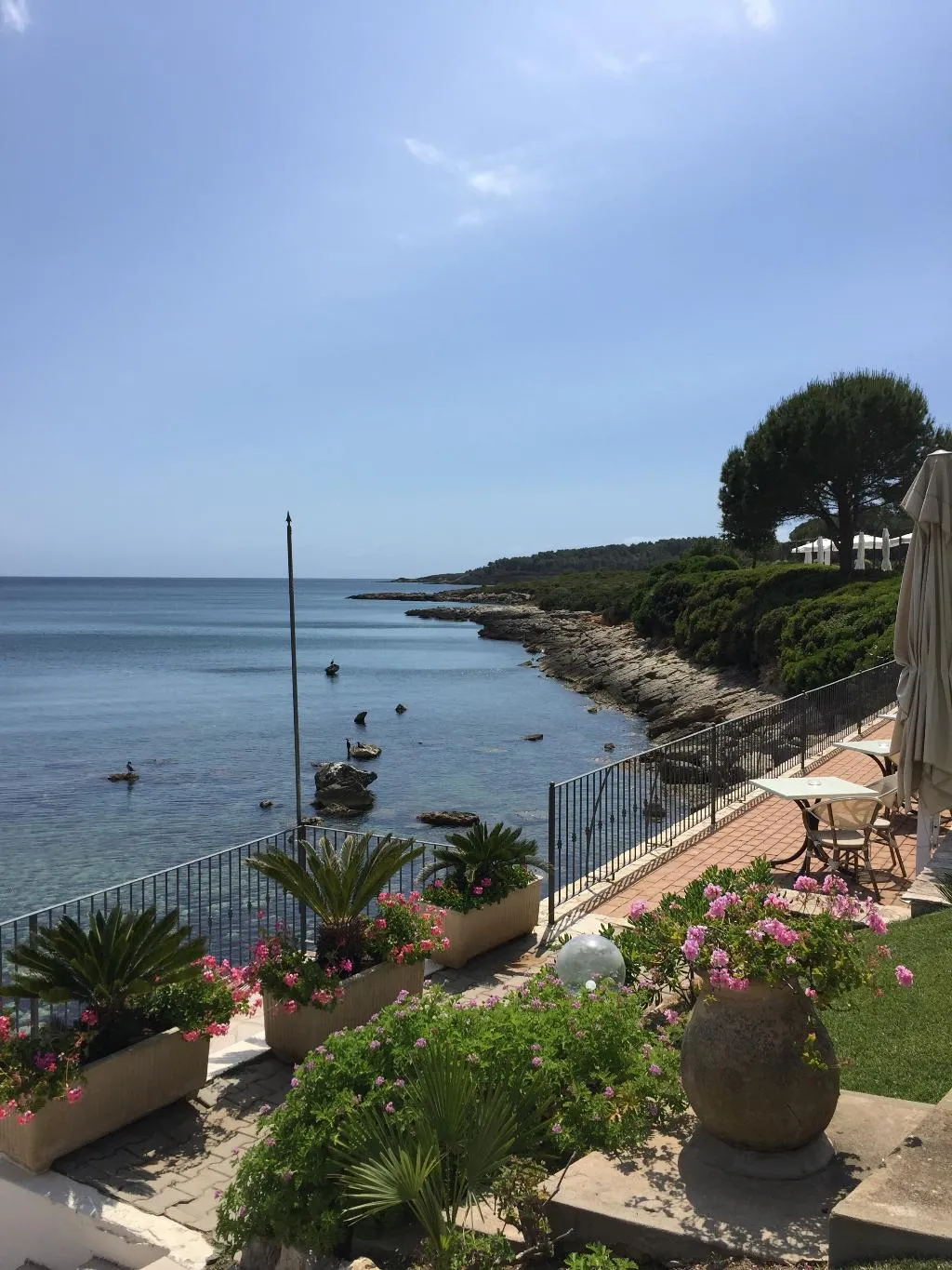 Terrace, Punta Negra, Alghero