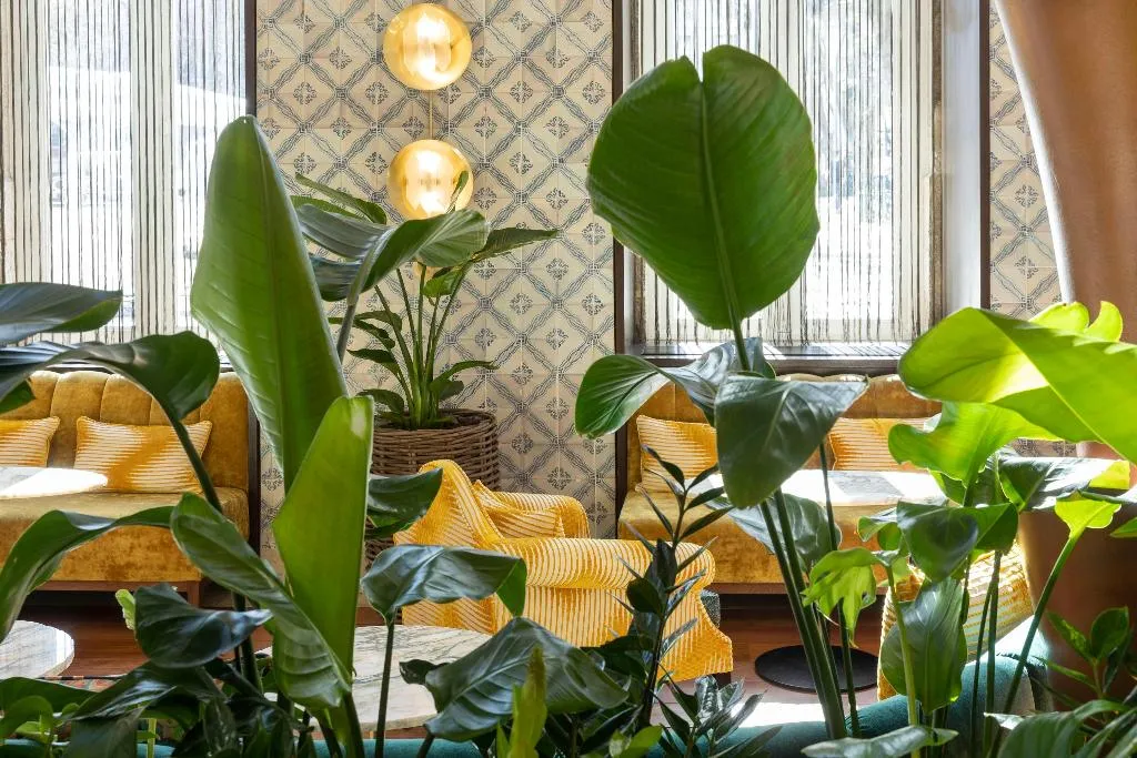 Conferences, Heritage Avenida Liberdade, Heritage Collection, Lisbon