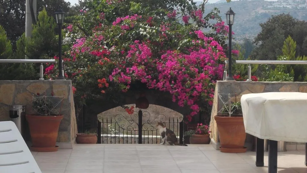 Room, Lemon Tree, Bodrum