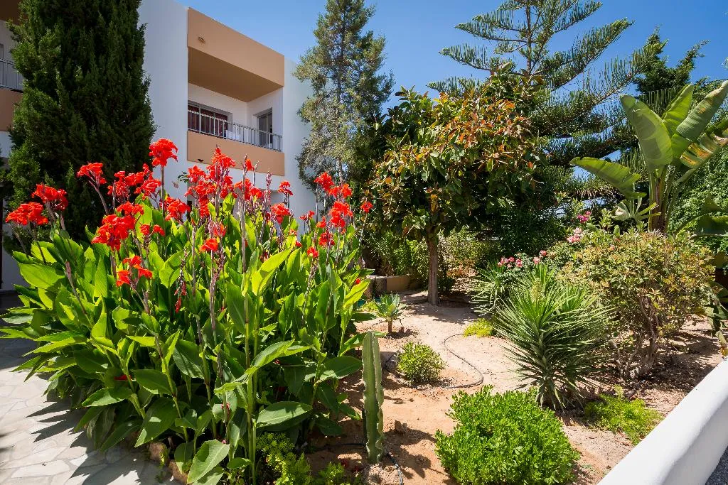 Terrace, Zodiac Apartamentos, Ibiza