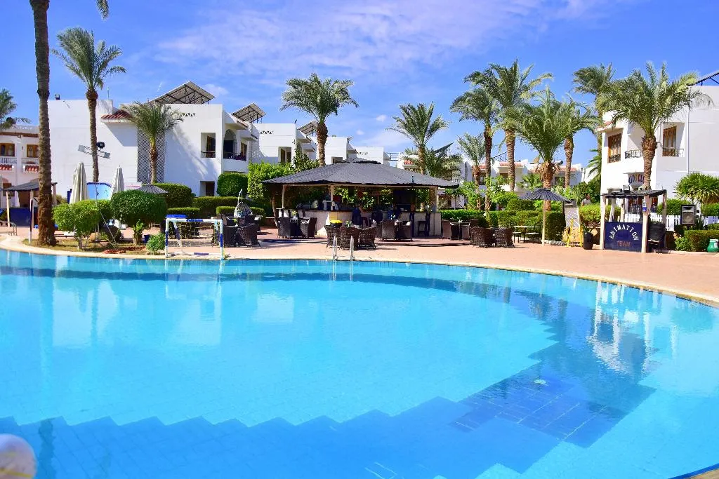 Pool, Dive Inn Resort, Red Sea Riviera
