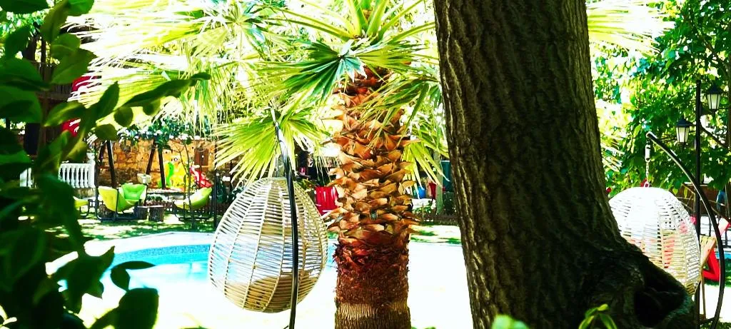 Pool, Manastirhan Otel Kazdaglari, Izmir