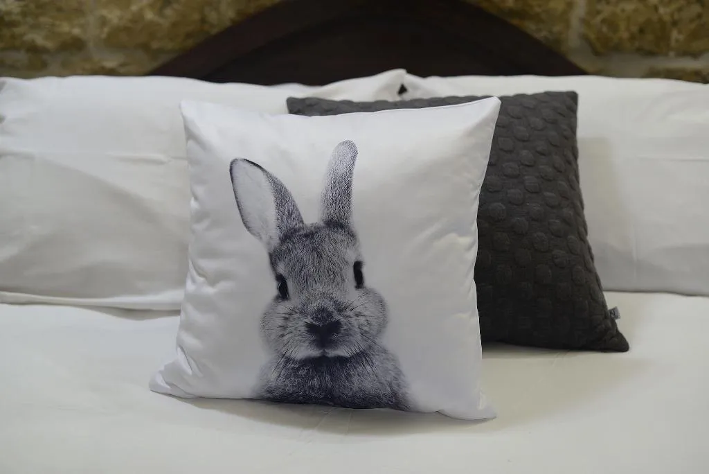 Room, The Burrow Guest House, Malta